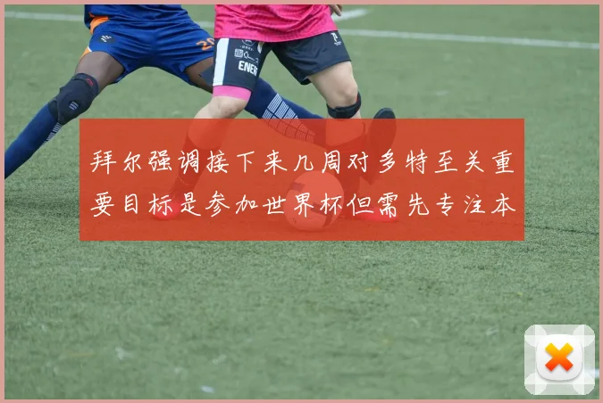 拜尔强调接下来几周对多特至关重要目标是参加世界杯但需先专注本赛季表现