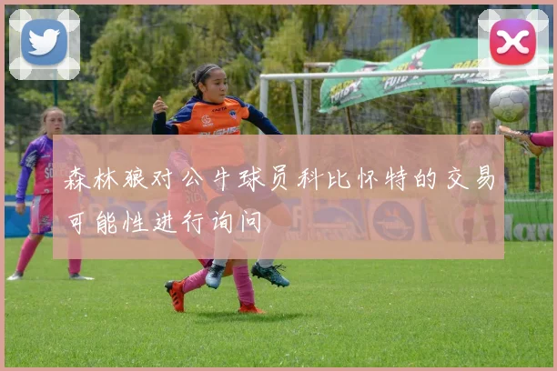 森林狼对公牛球员科比怀特的交易可能性进行询问